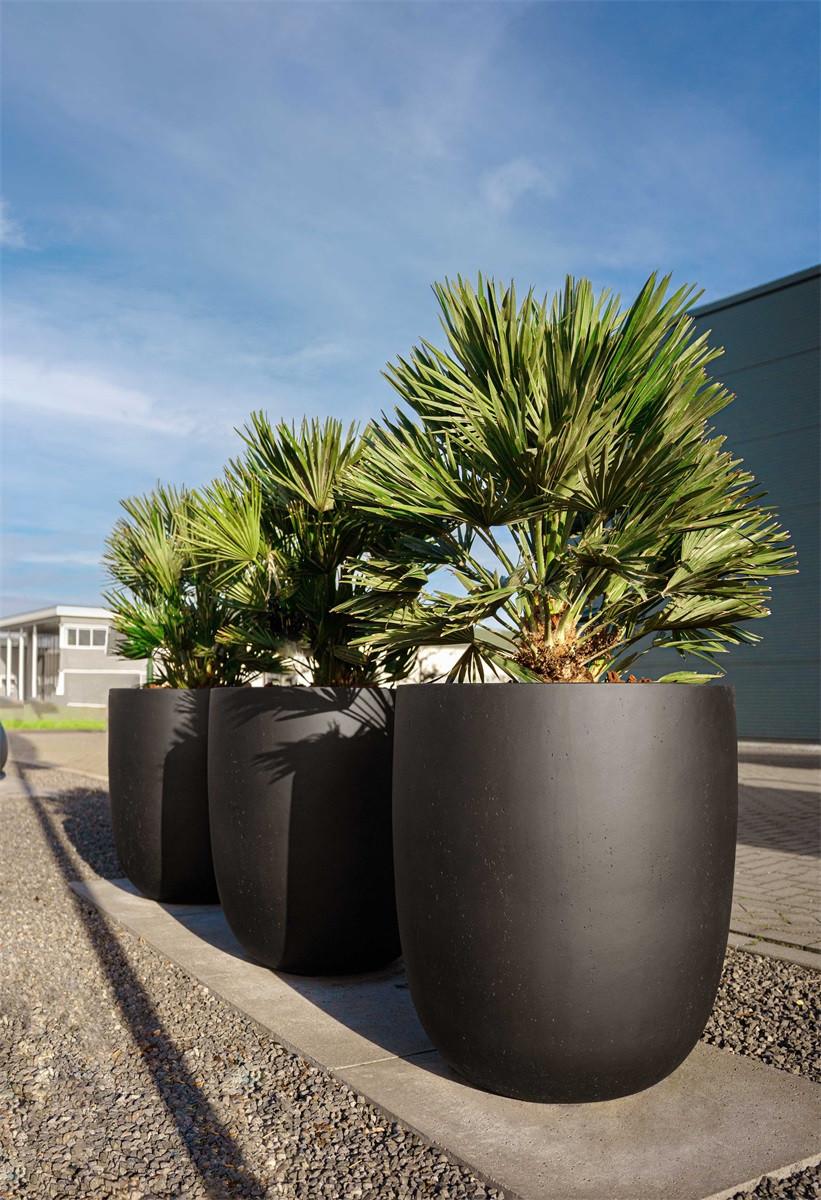 Detail Luca Lifestyle Grigio Tall Egg Pot Pflanzenkübel