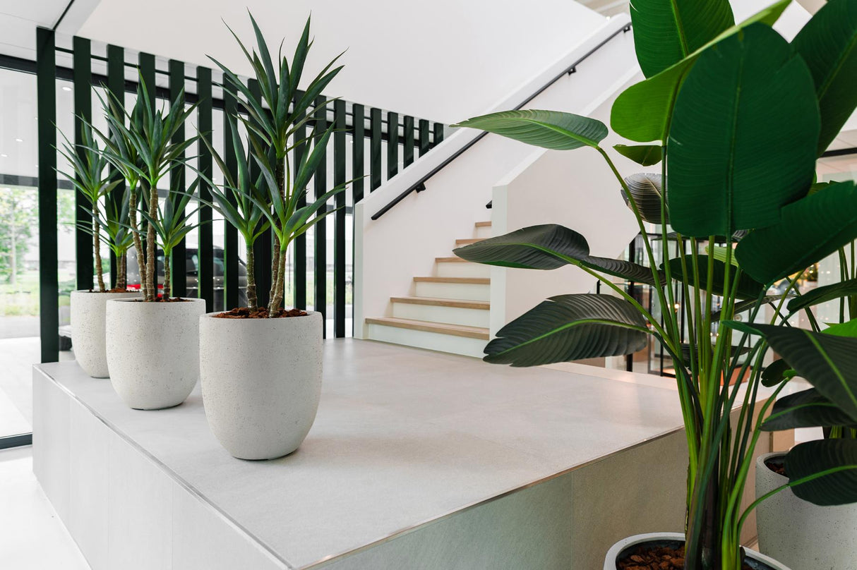 Ambientebild Luca Lifestyle Grigio Tall Egg Pot Pflanzenkübel Antik Weiß 88x103