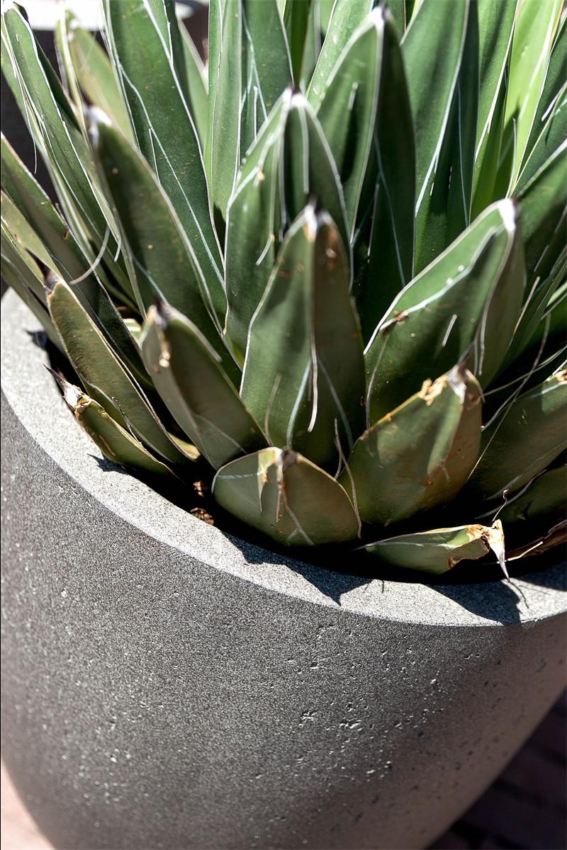 Detail Luca Lifestyle Grigio Tall Egg Pot Pflanzenkübel Betonoptik 88x103