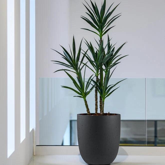 Indoor Luca Lifestyle Grigio Tall Egg Pot Pflanzenkübel