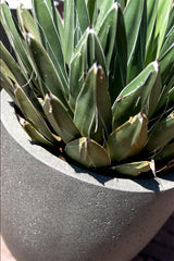 Detail Luca Lifestyle Grigio Tall Egg Pot Pflanzenkübel Betonoptik 88x103