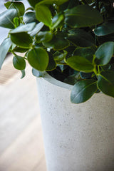 Betonoptik Luca Lifestyle Grigio Vase Antik Weiß 36x68 cm